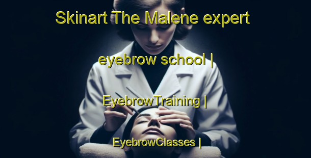 Skinart The Malene expert eyebrow school | EyebrowTraining | EyebrowClasses | SkinartTraining-the Democratic Republic of the Congo